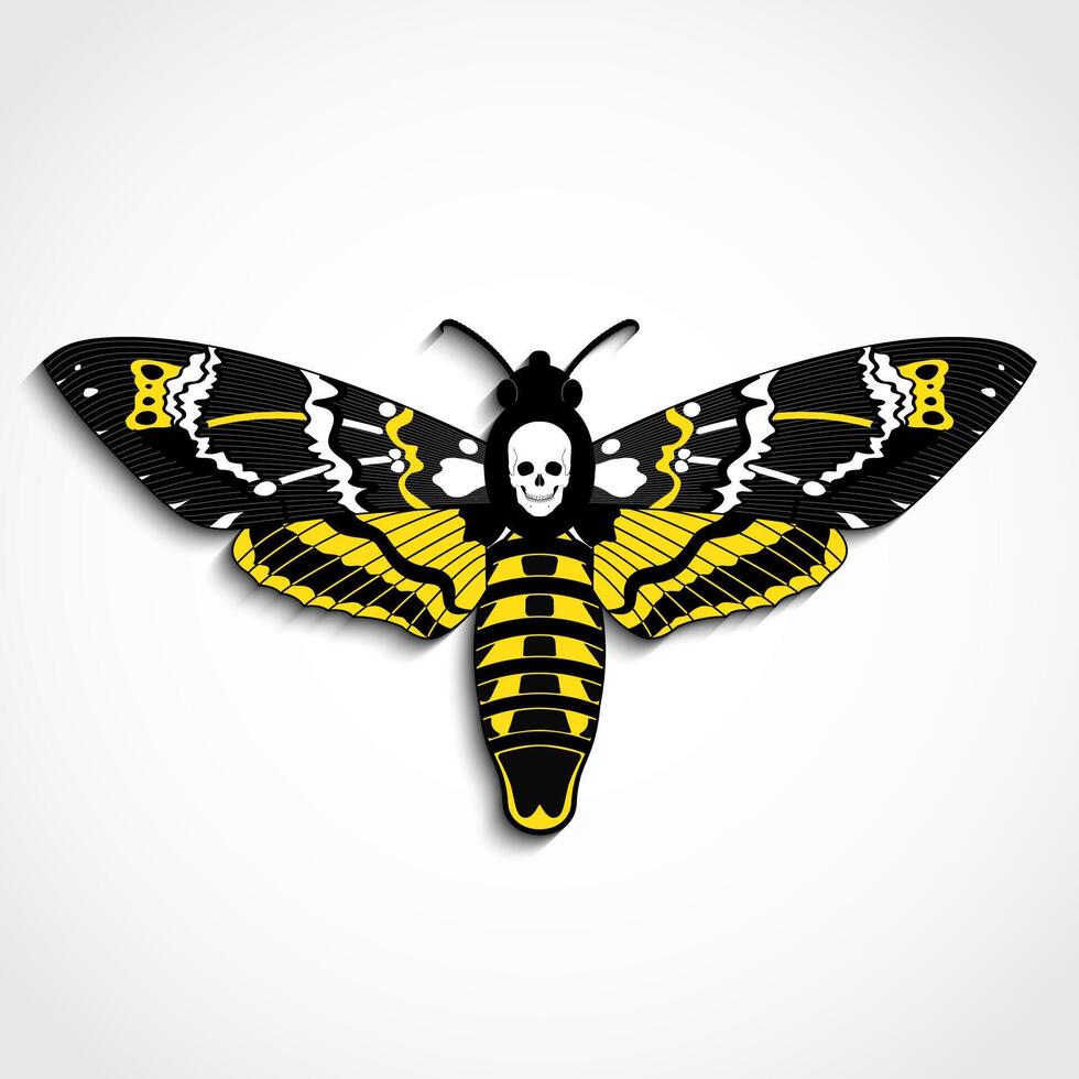 Deaths head moth yellow color illustration with skull vector