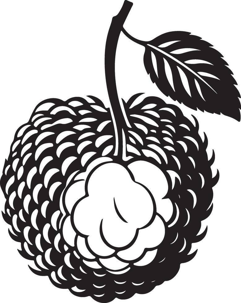 A black and white illustration of a lychee fruit vector