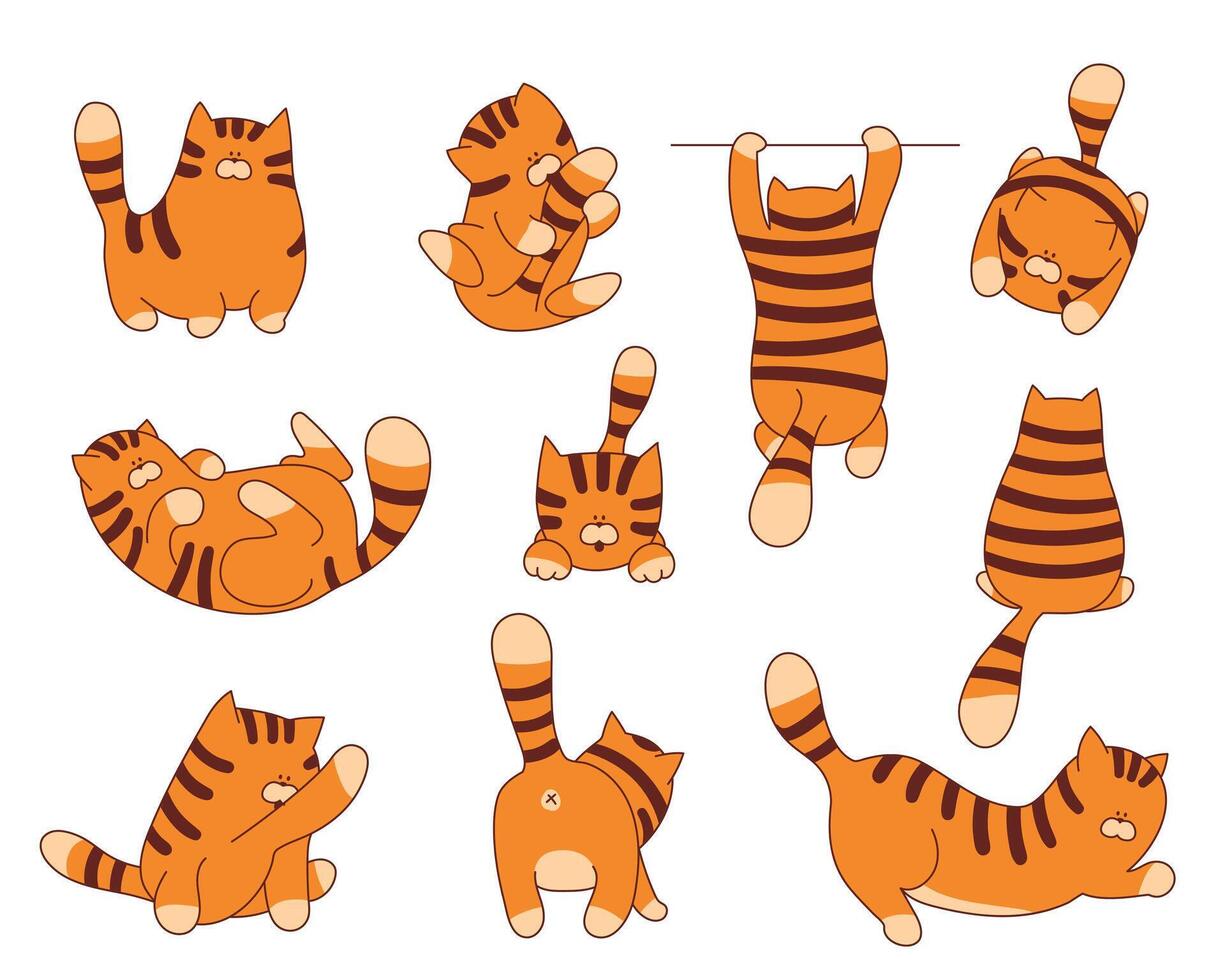 Set of funny cartoon tiger character illustration. Animal collection for print baby design or web graphic. vector