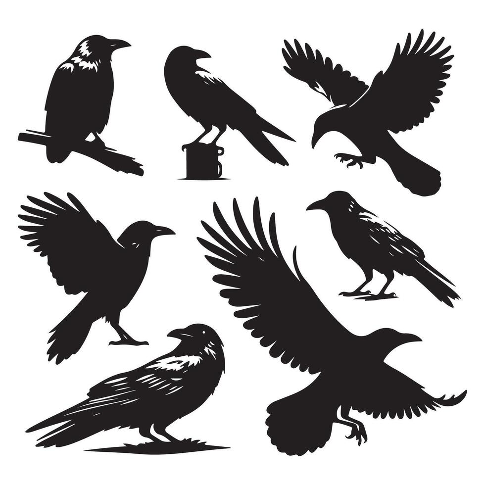 Series of crow shapes outlined on a white background vector