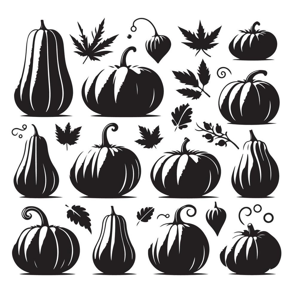 Set of pumpkin shadows on a white background vector