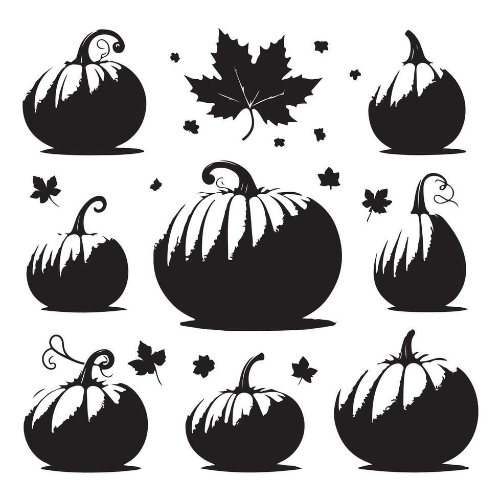 Display of pumpkin shapes isolated against white vector