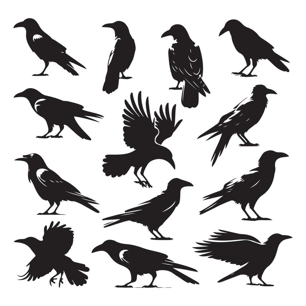 Assortment of dark crow shapes on a white background vector