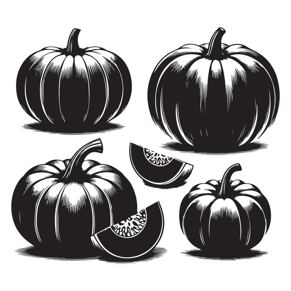 Variety of pumpkin shapes isolated on a plain white background vector