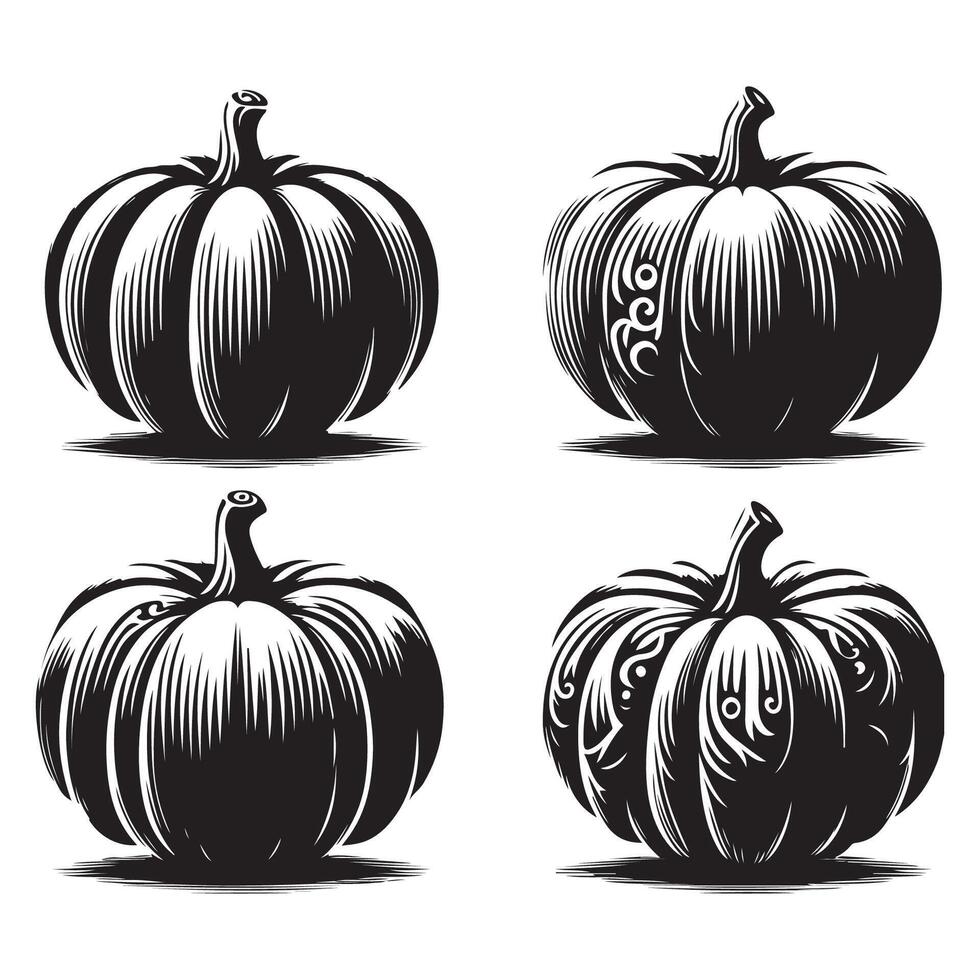 Range of pumpkin shapes displayed on a white surface vector