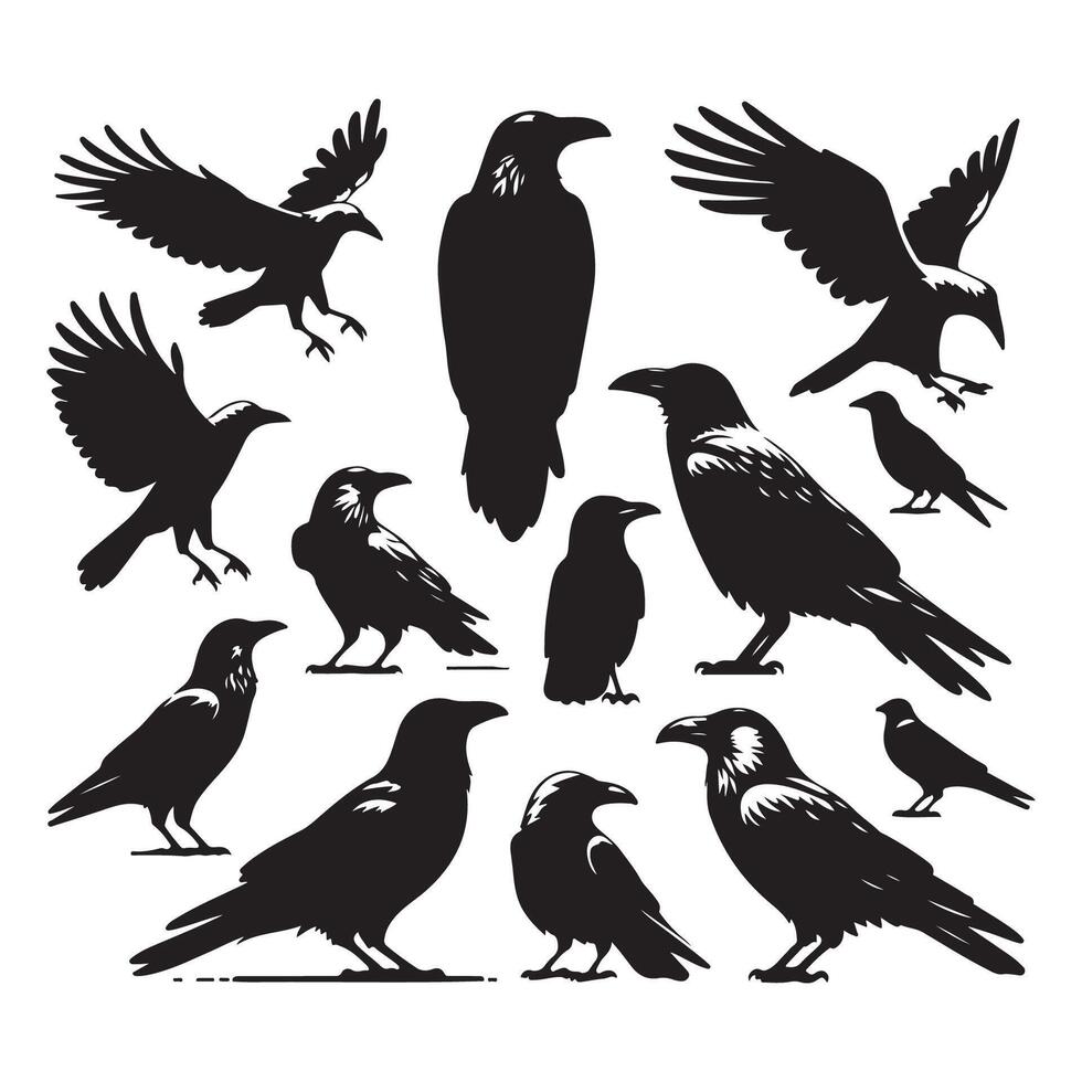 Assortment of crow outlines on a white background vector