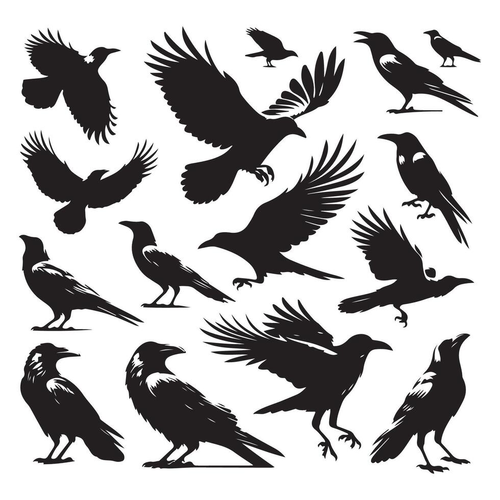 Group of crow shadows outlined on a white background vector