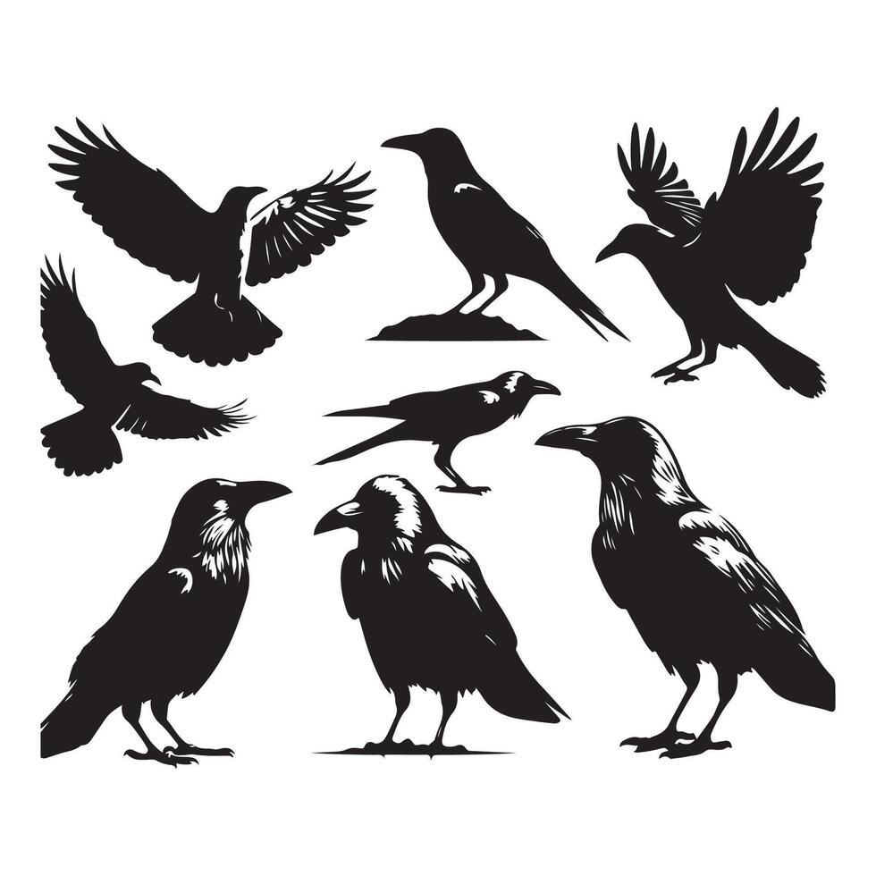 Series of black crow shapes on a white background vector