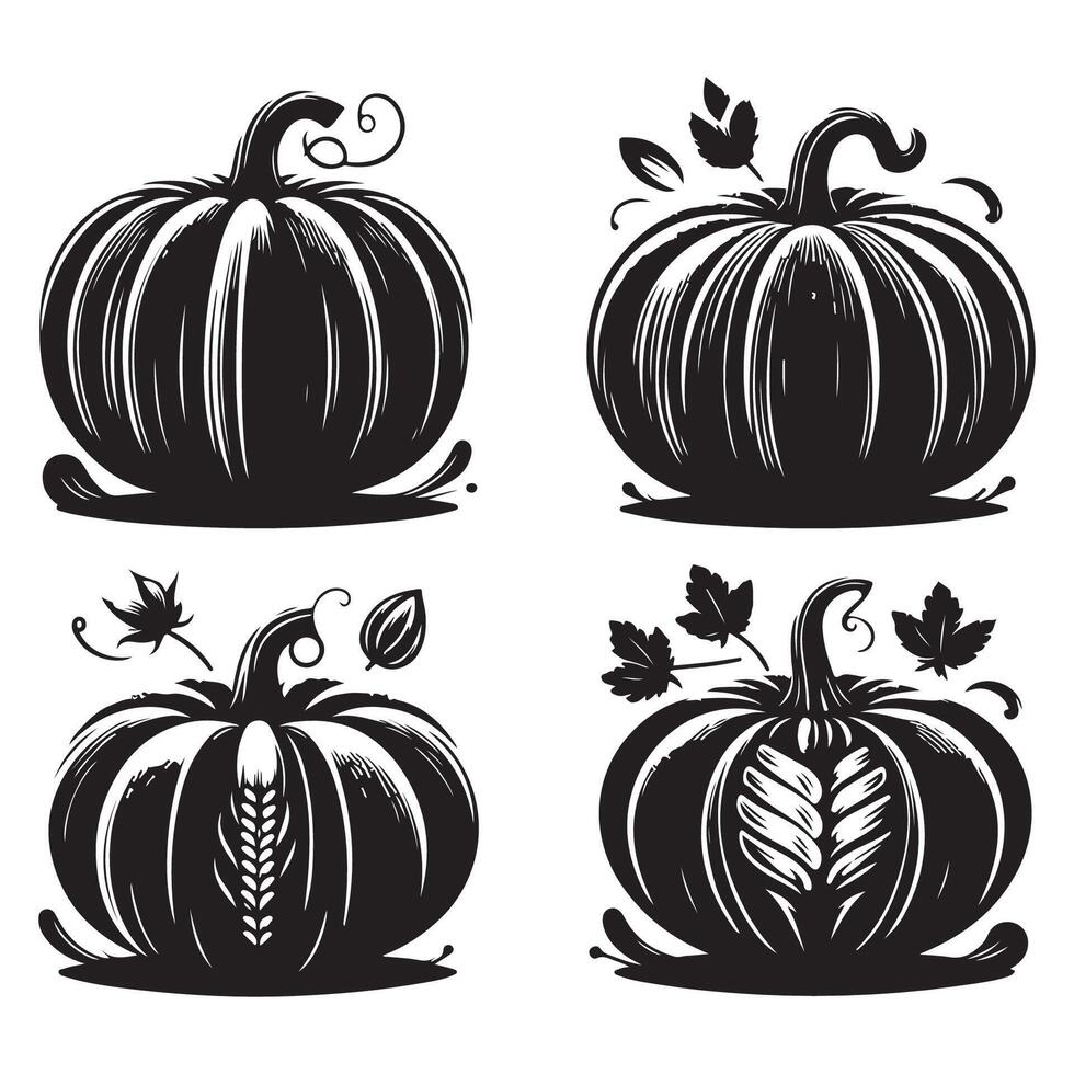 Different pumpkin shapes arranged on a white background vector