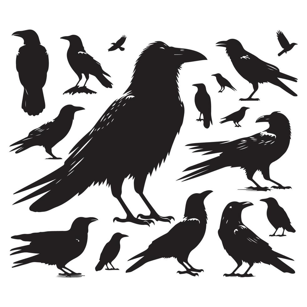 Assortment of crow silhouettes displayed on a white background vector