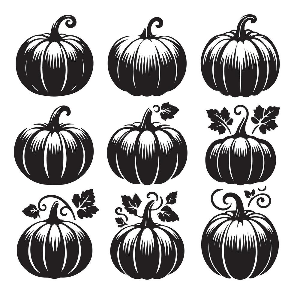 Group of pumpkin outlines presented on a white background vector