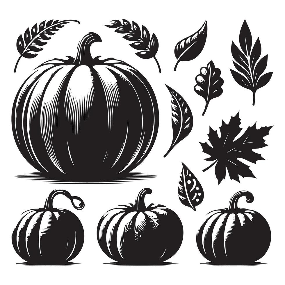 Grouping of pumpkin shapes isolated on a white backdrop vector