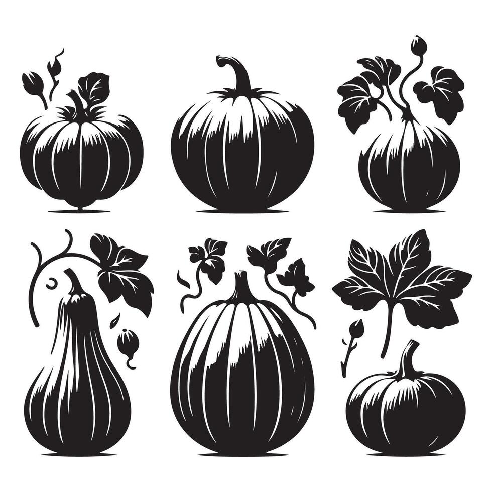 A spectrum of pumpkin silhouettes on white vector
