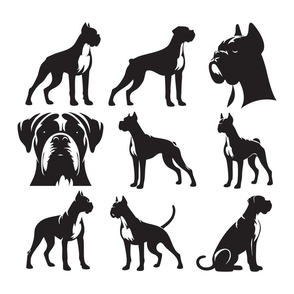 Shadowed silhouette of a boxer dog in front of a stark white background vector