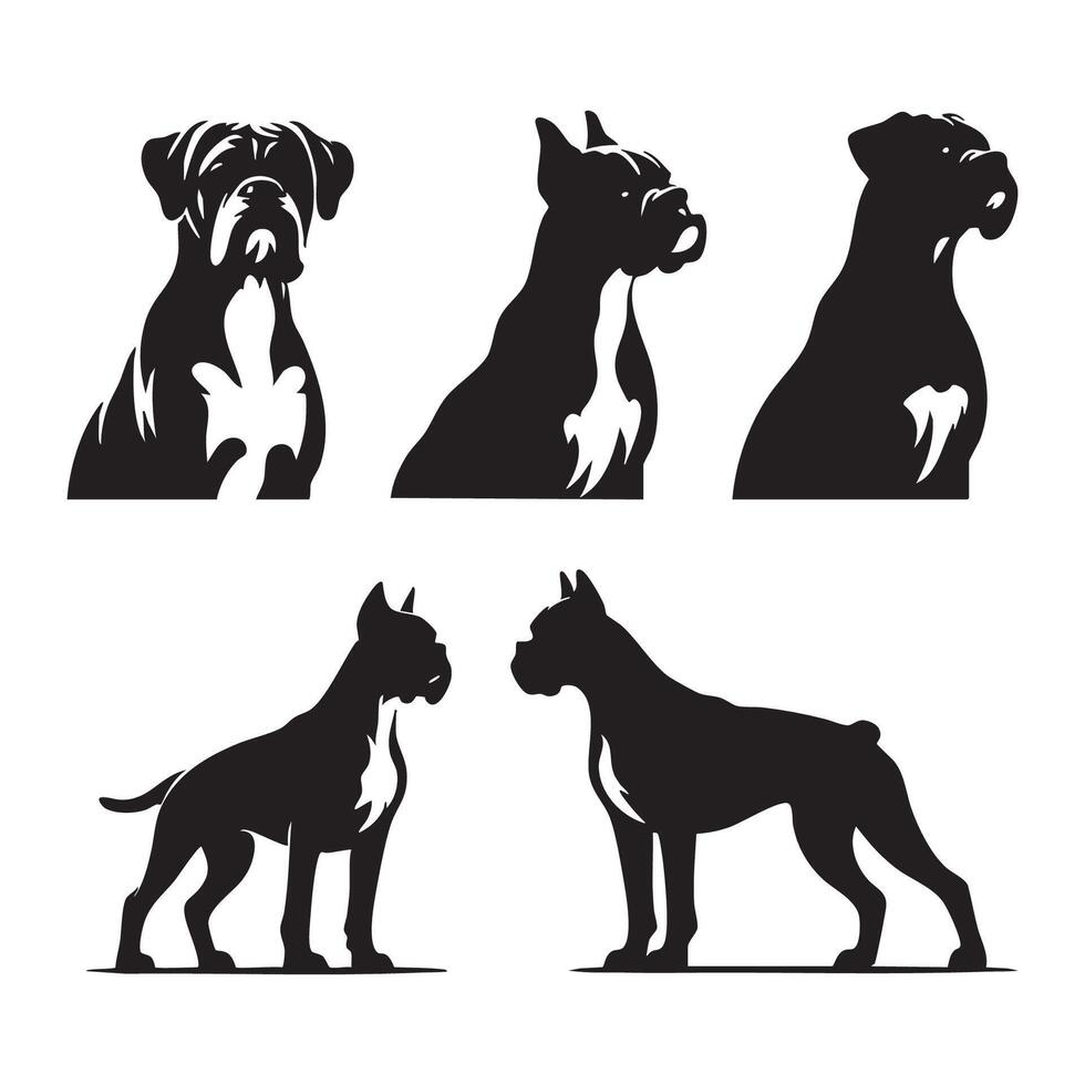 The black outline of a boxer dog positioned on a white backdrop vector