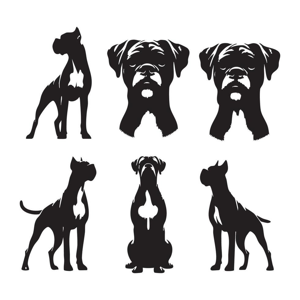 Clear silhouette of a boxer dog set on a stark white background vector