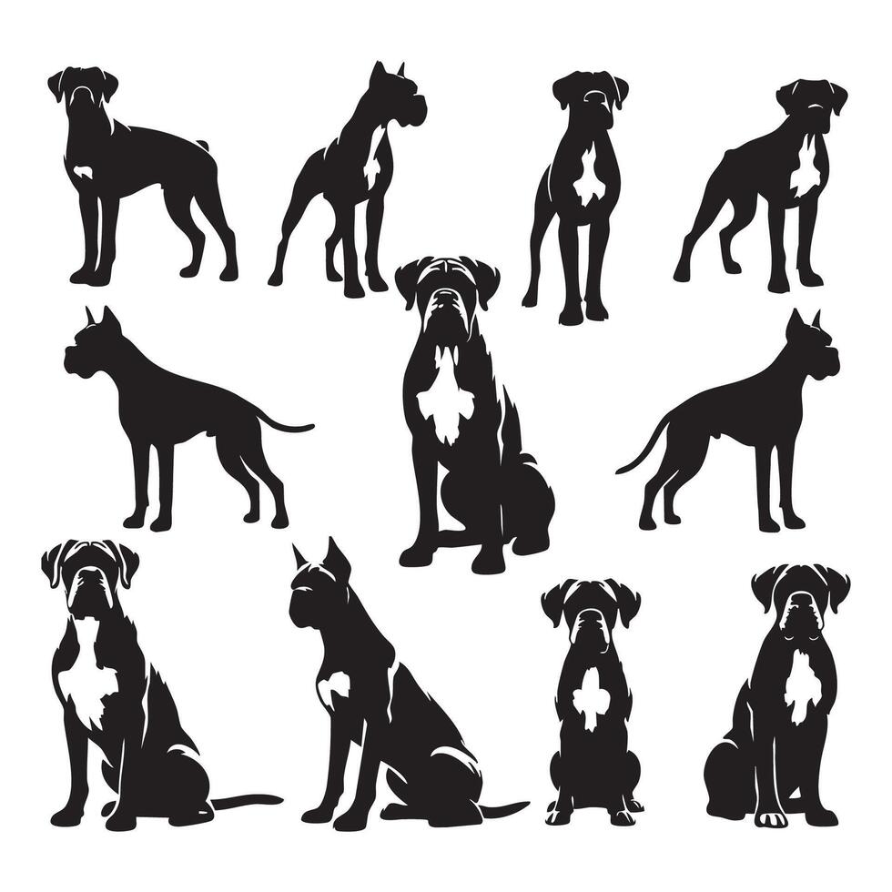 Simple silhouette of a boxer dog on a white and plain background vector