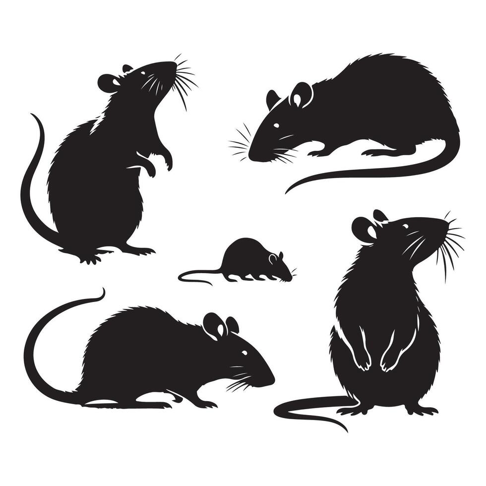 Set of different rat silhouettes on a plain white background vector