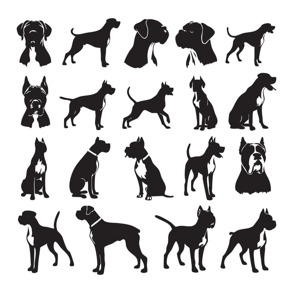 Silhouette of a boxer dog displayed over a pure white backdrop vector