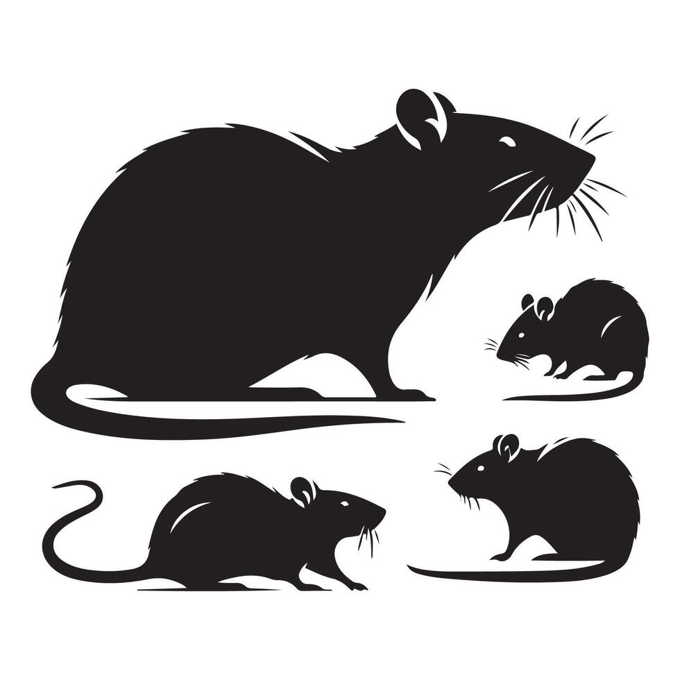 Set of artistic rat silhouettes on a plain white background vector