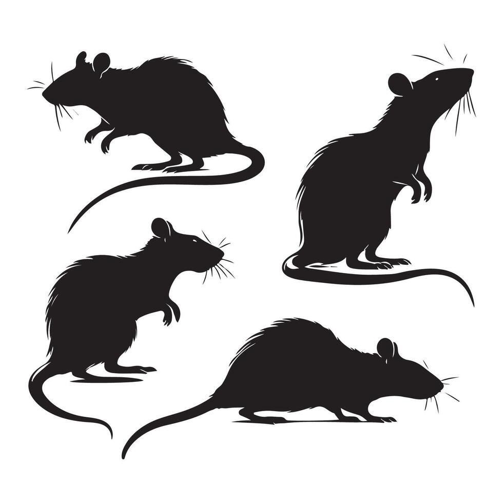 Lineup of varied rat silhouettes on a white background vector