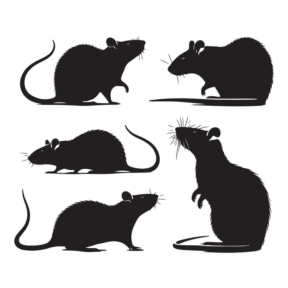 Collection of rat silhouettes on a plain white background vector