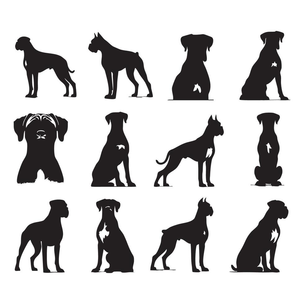 Bold silhouette of a boxer dog on a neutral white background vector