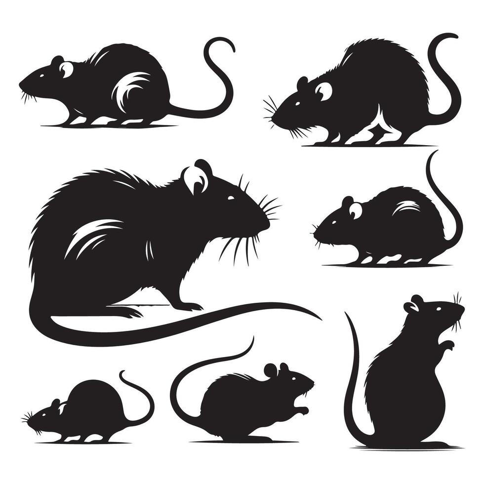 Set of distinctive rat silhouettes against a clean white background vector