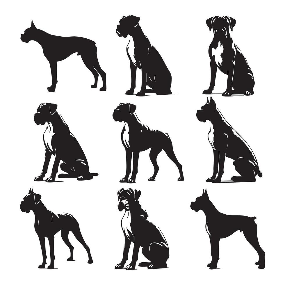 Shadowy outline of a boxer dog on a clean white background vector