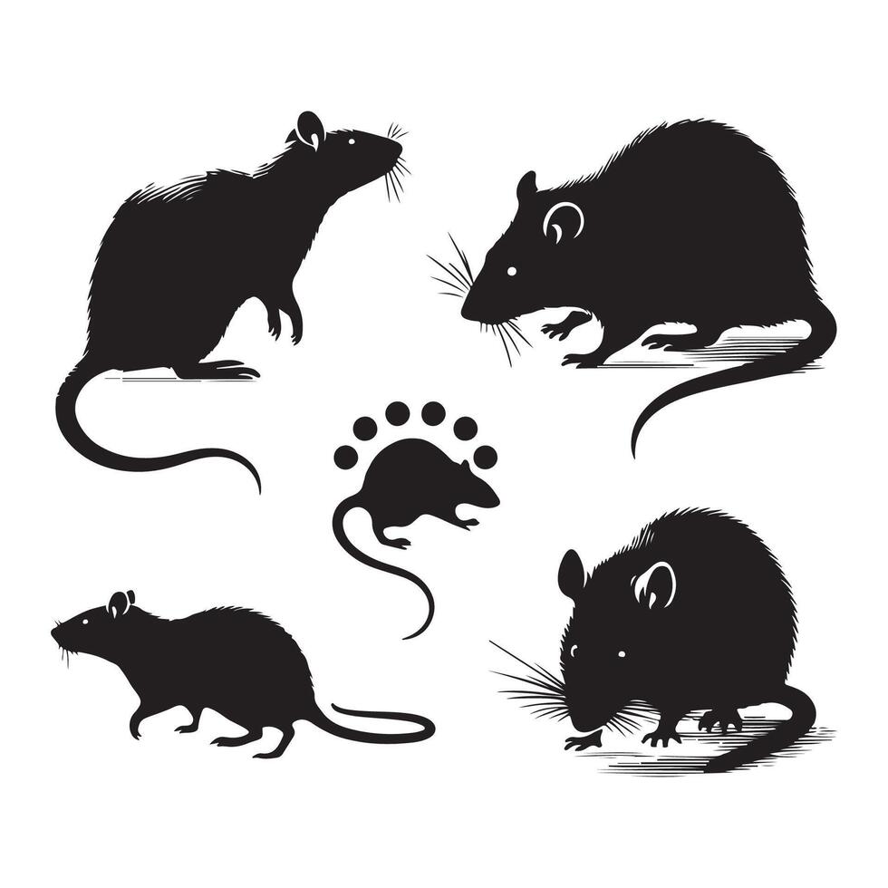 Black rat silhouettes on a clear white background vector