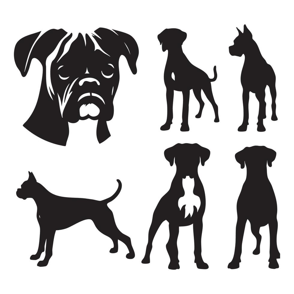Monochrome silhouette of a boxer dog set on a white background vector