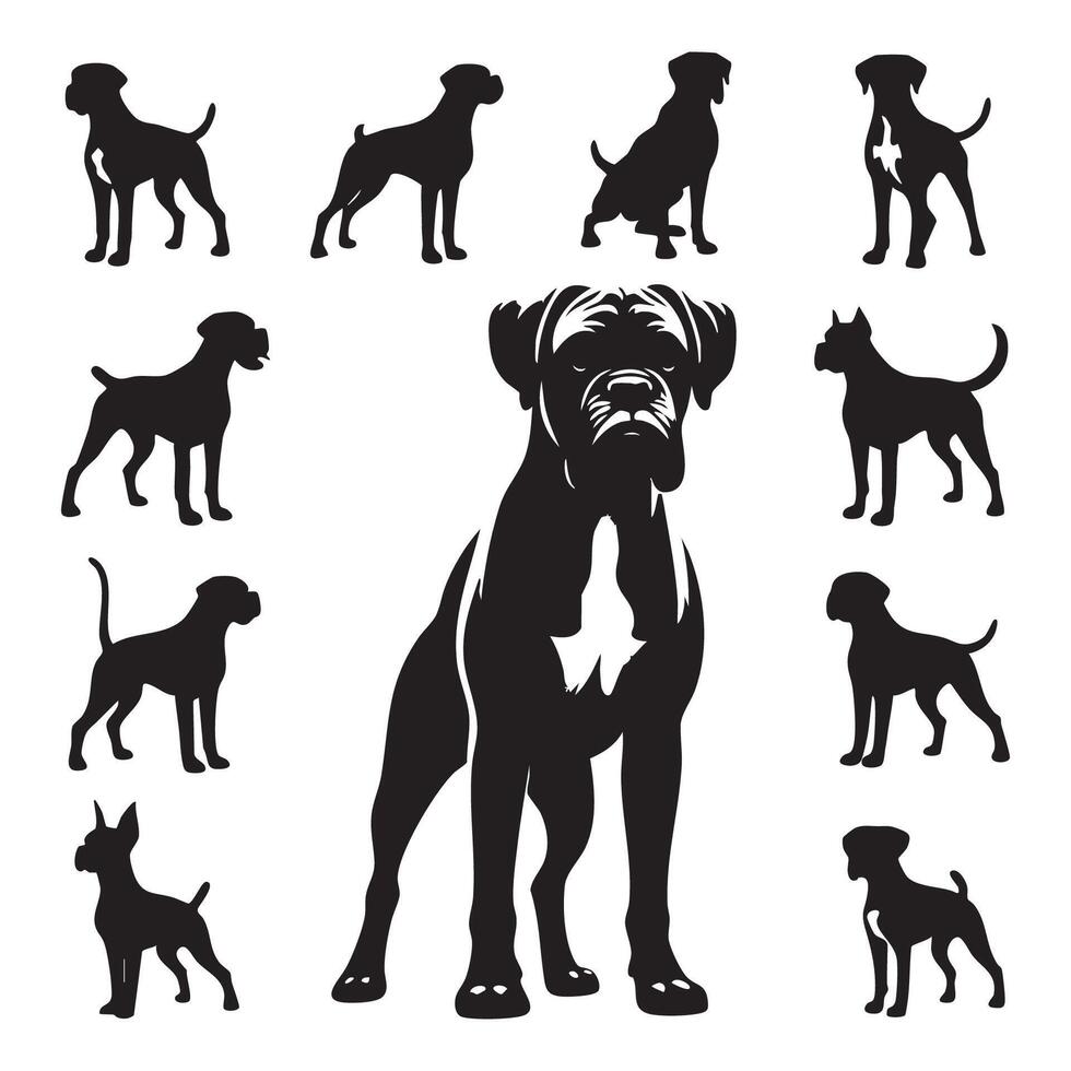 Shadowed outline of a boxer dog on a blank white backdrop vector