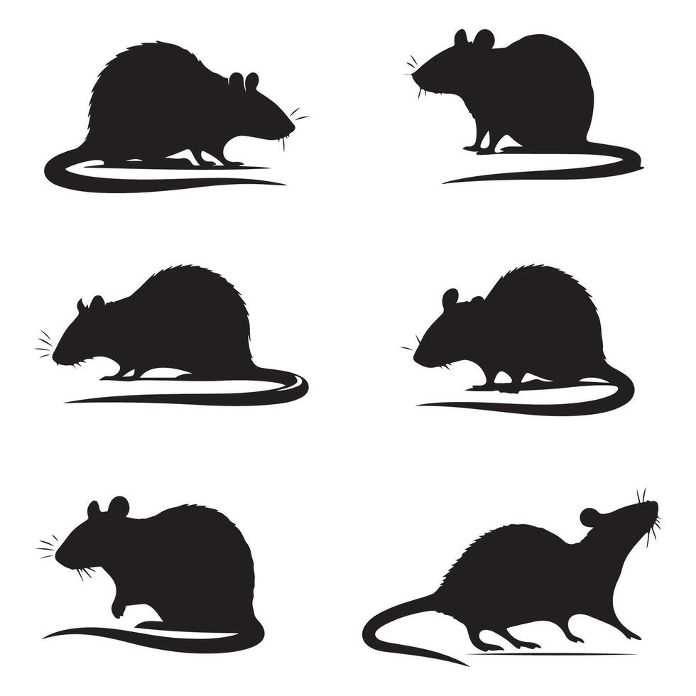 Compilation of rat silhouette illustrations on a blank white background vector