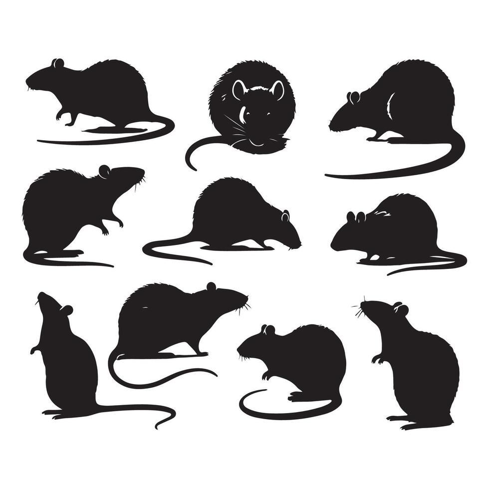 A set of rat silhouettes on a white surface vector