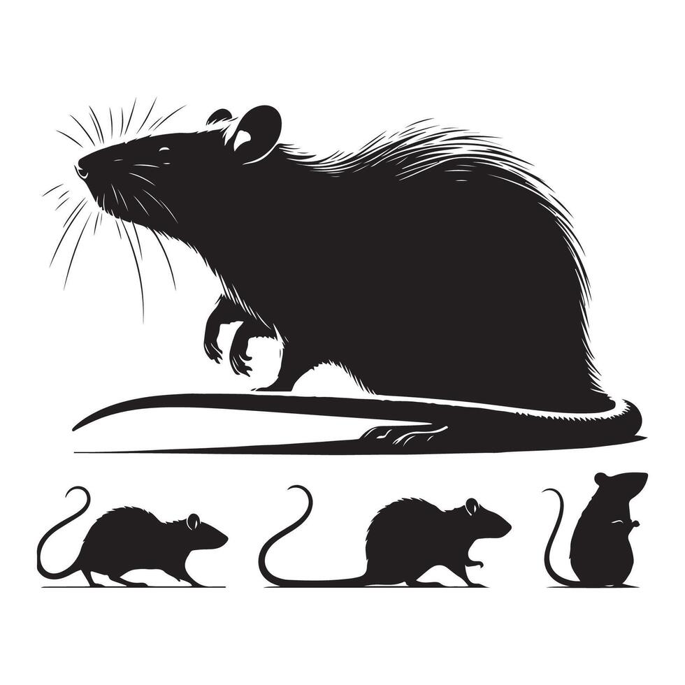 Rat silhouettes arranged on a simple white background vector