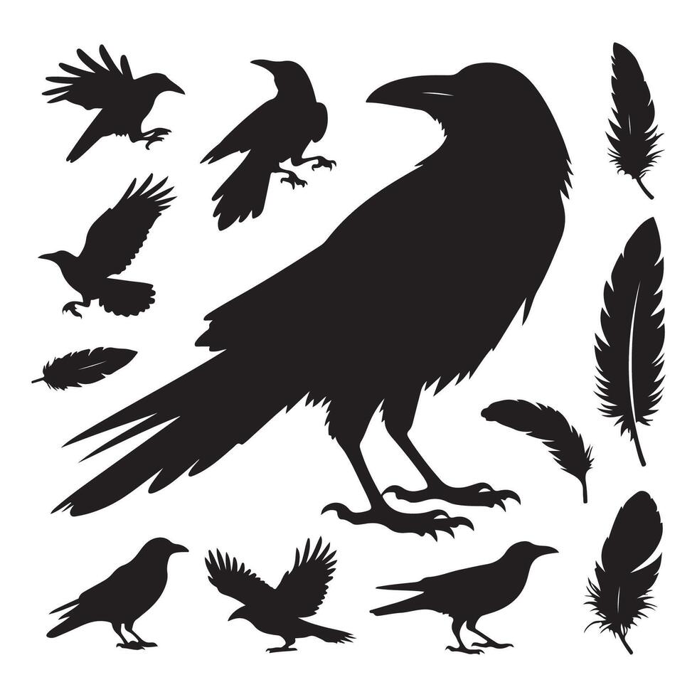 Grouping of crow silhouettes on a white surface vector