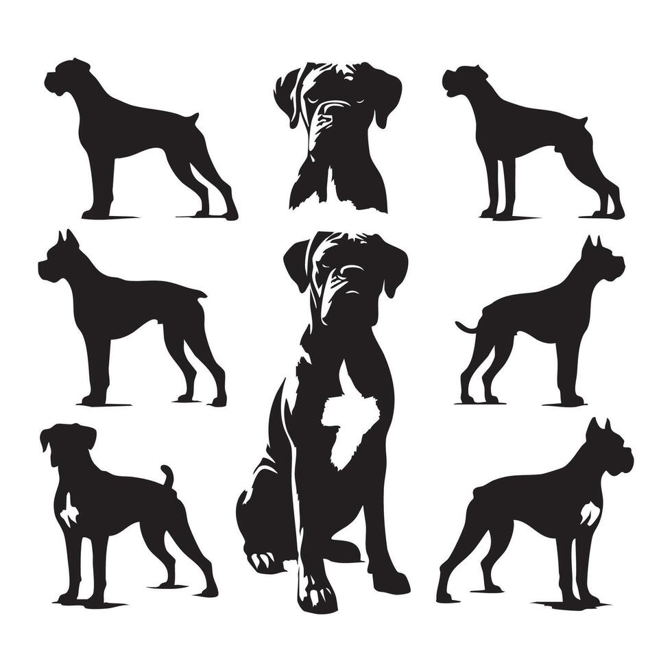 Black silhouette of a boxer dog contrasted with a white background vector