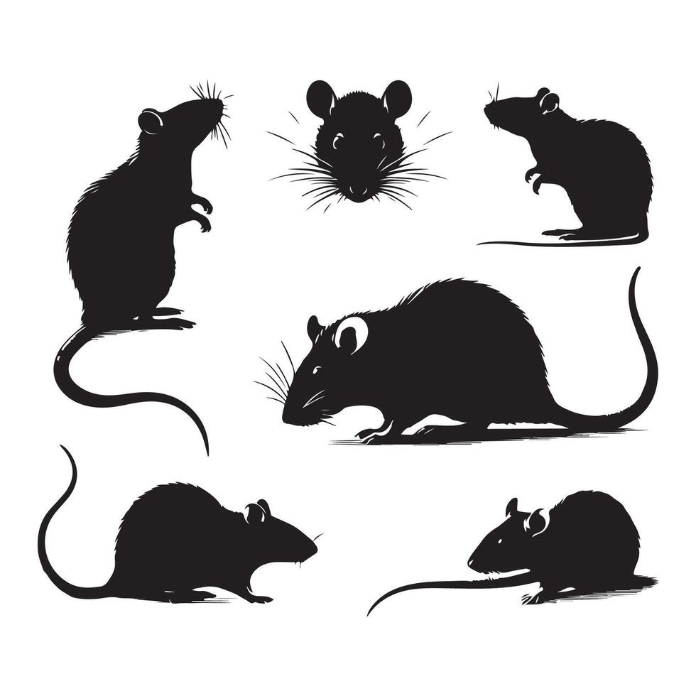 Range of rat silhouettes on a plain white background vector