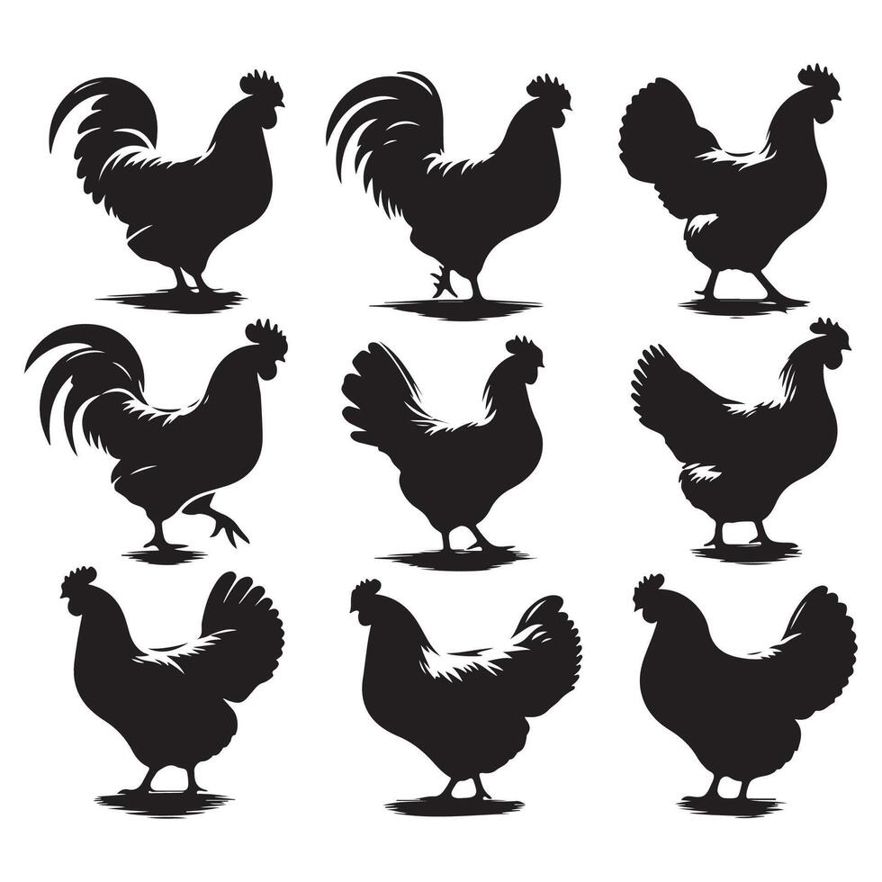 Assortment of chicken silhouettes set against a white background vector