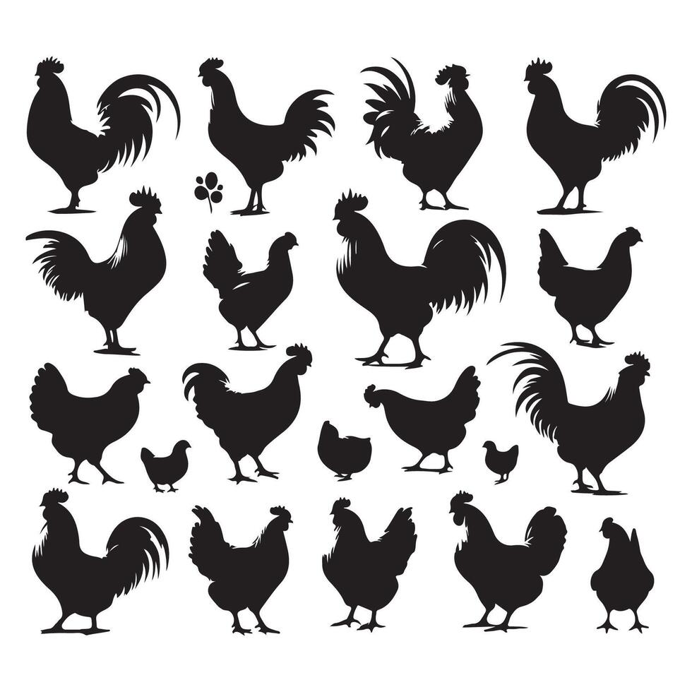 Group of chicken silhouettes displayed on a plain white surface vector