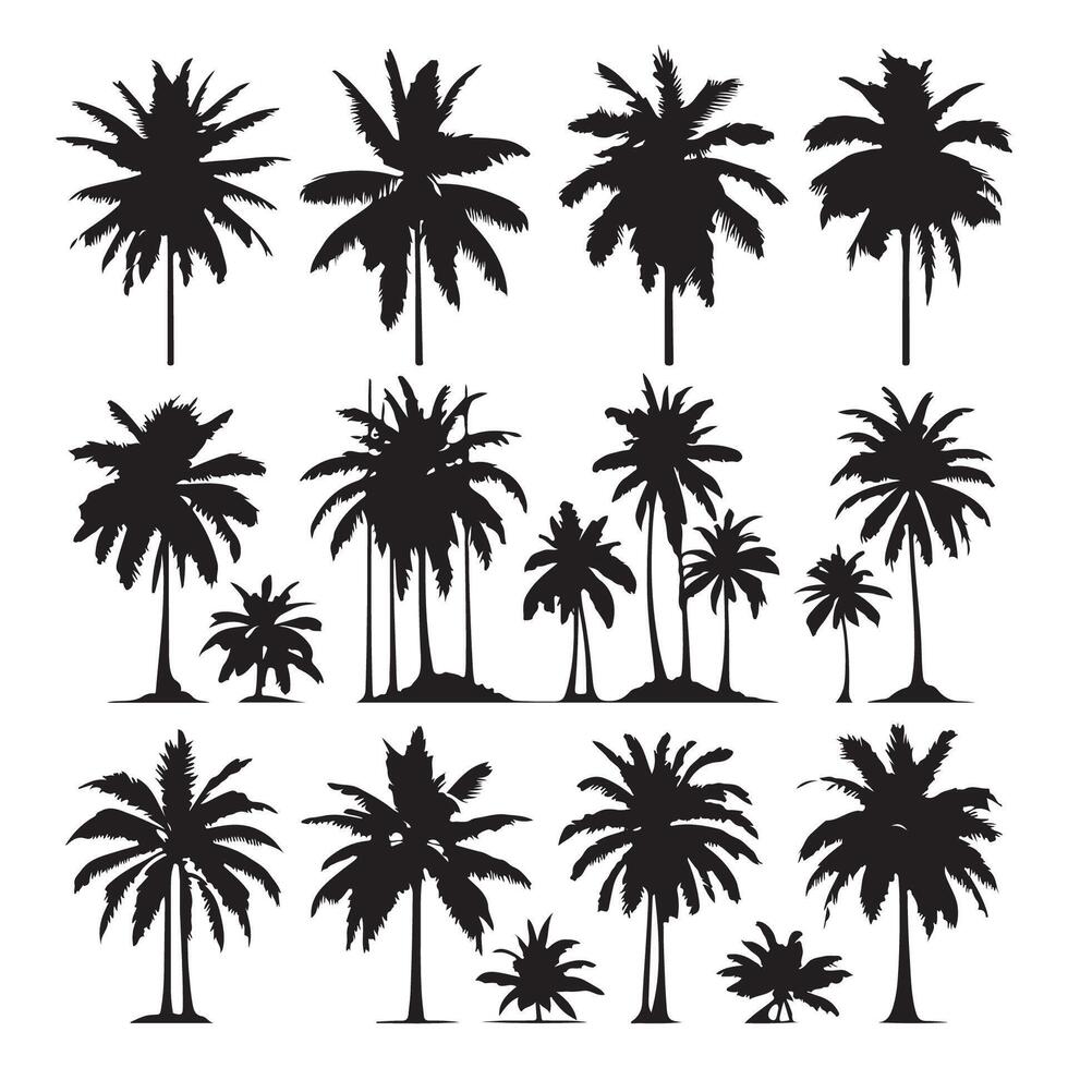 Array of palm tree figures isolated on a white canvas vector