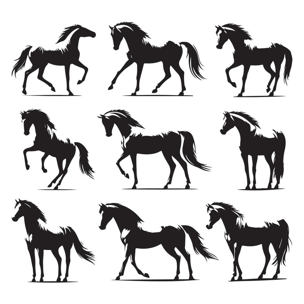 Ensemble of horse silhouettes contrasted with a white canvas vector