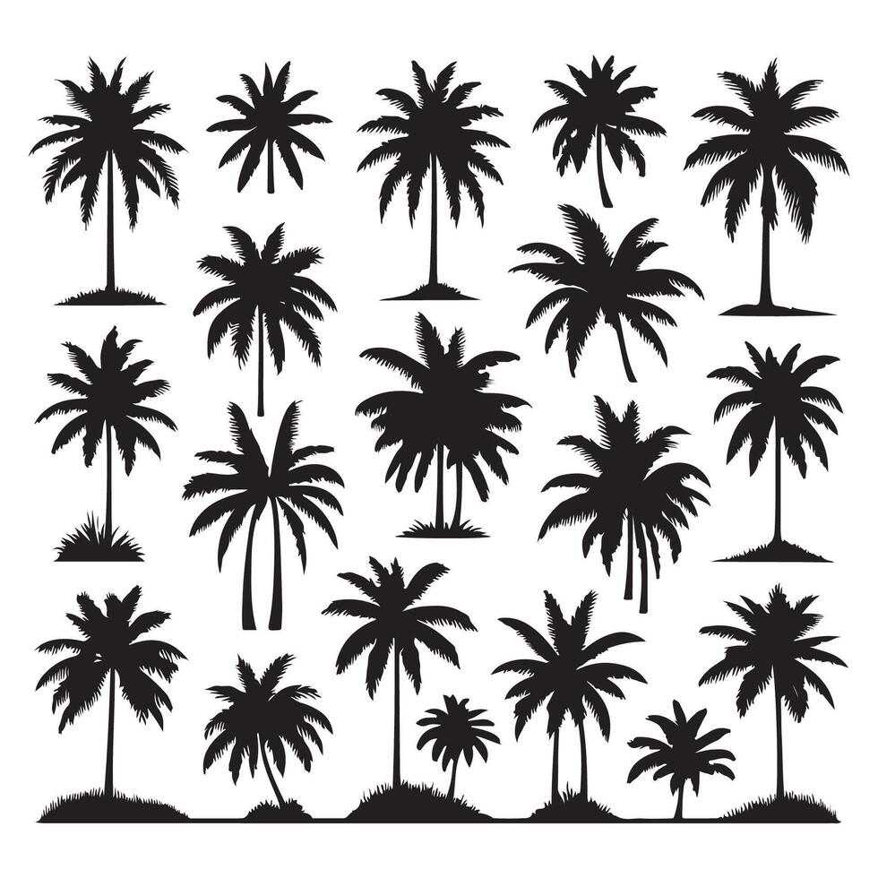 Collection of palm tree profiles isolated against a white canvas vector