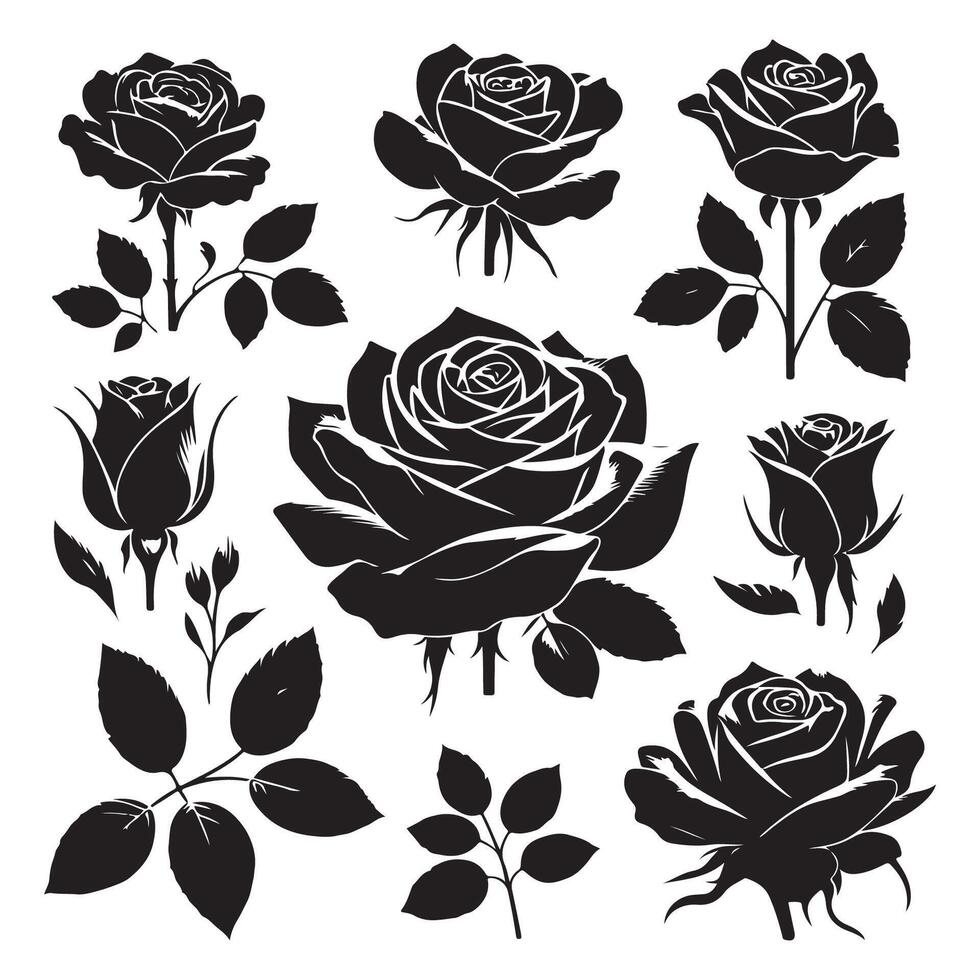 Cluster of rose shadows presented on a white canvas vector