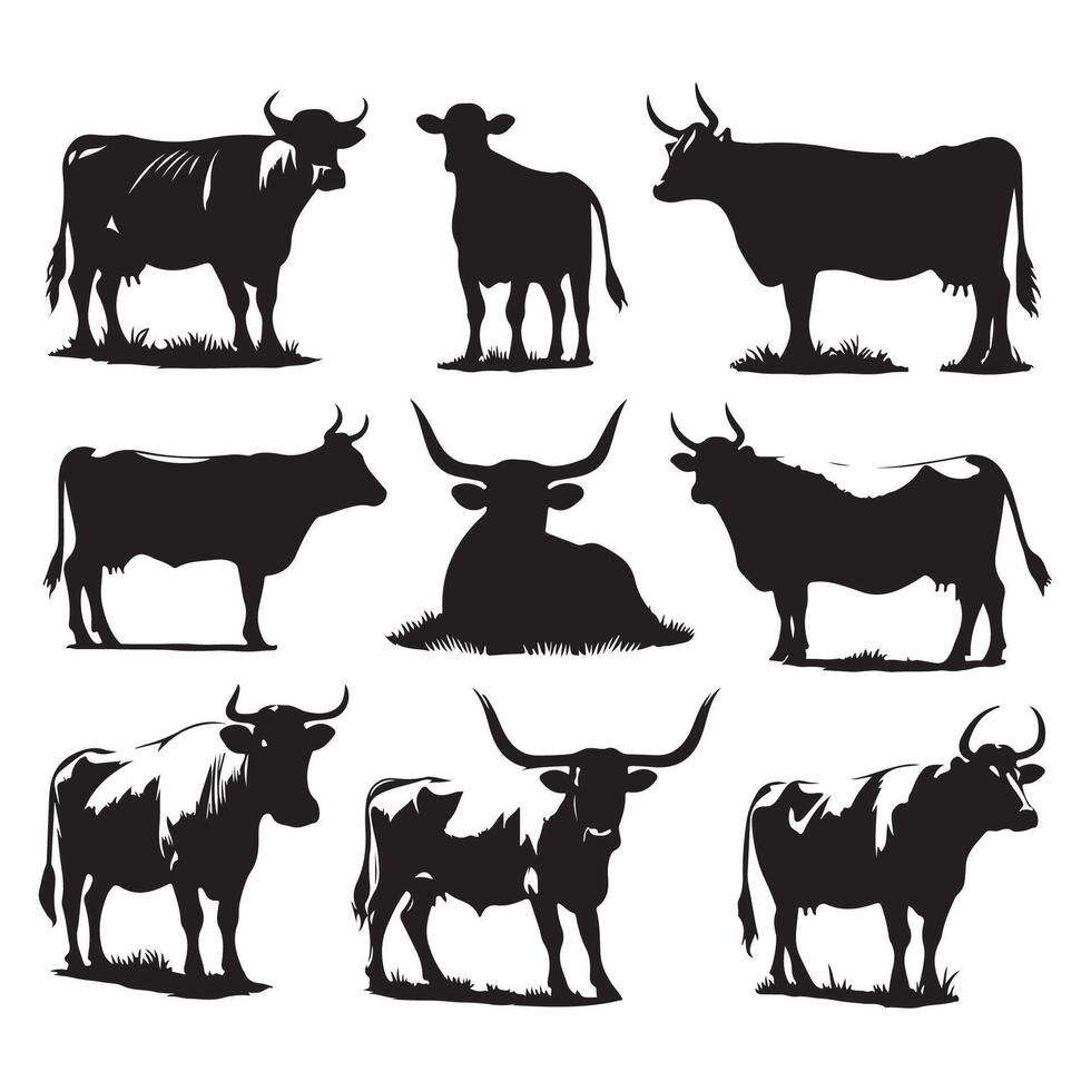 Ensemble of cow silhouettes represented on a white canvas vector