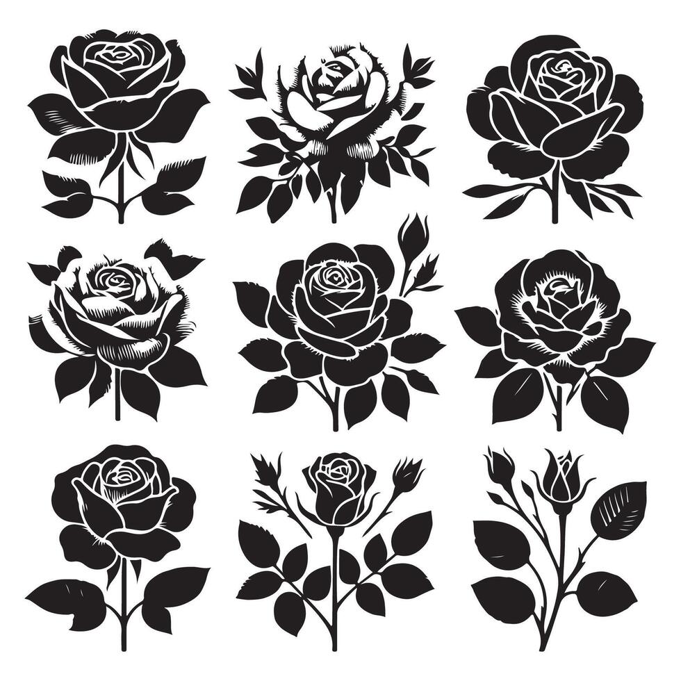 Bunch of rose outlines displayed on a white backdrop vector
