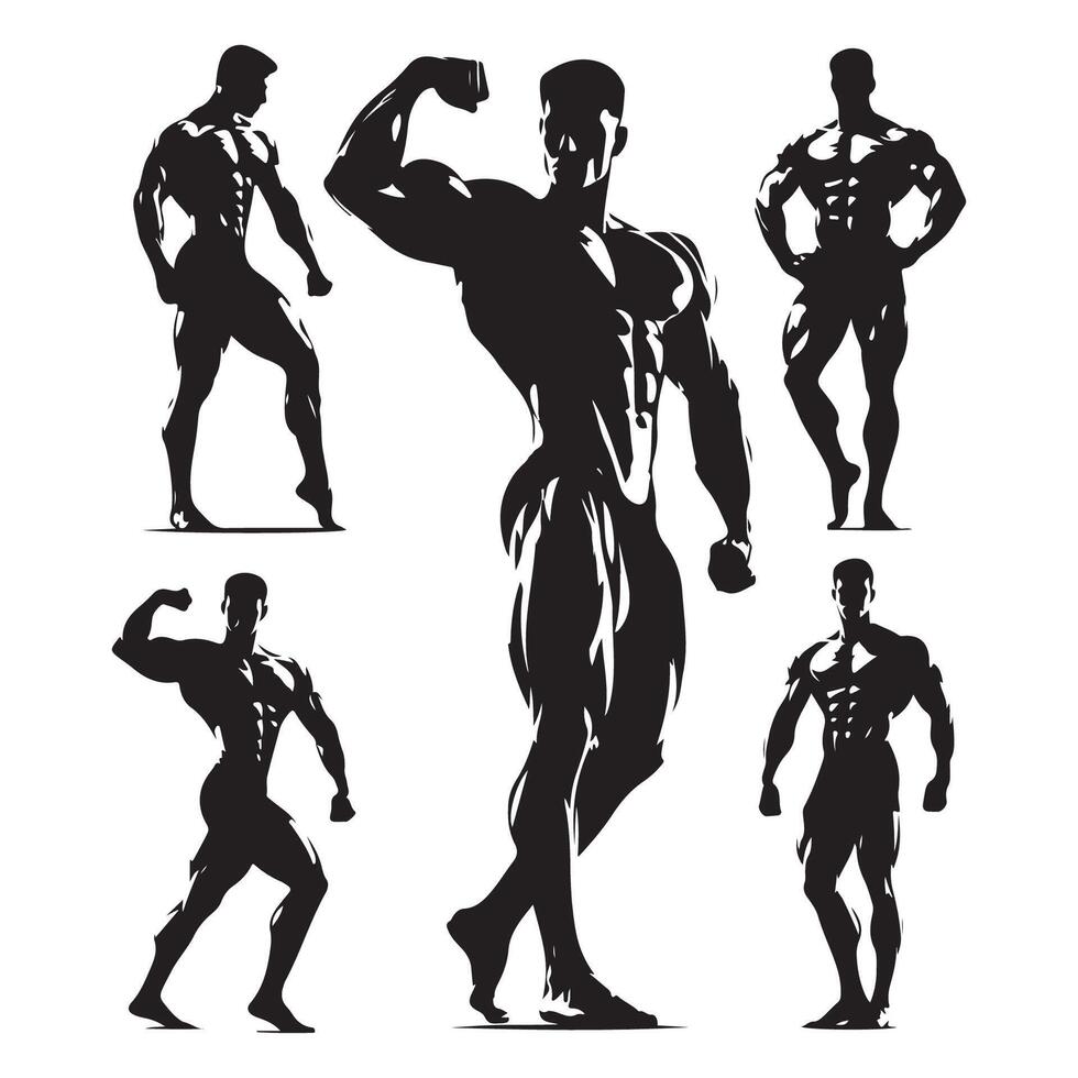 Bodybuilder outline set vector