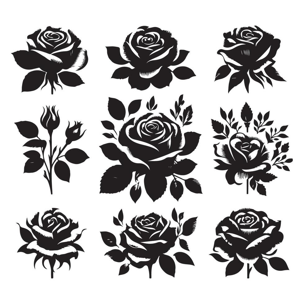 Display of rose outlines isolated on a bright white backdrop vector