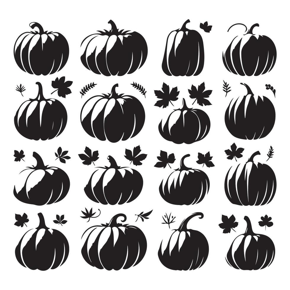 Different pumpkin shapes spread out on a white background vector