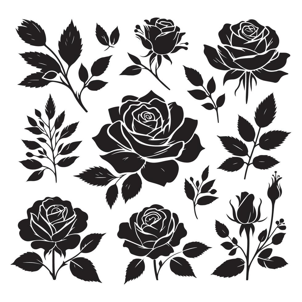 Assortment of rose figures set against a white canvas vector